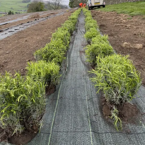 Commercial Weed Control Customer Photo Commercial Weed Control Customer Photo